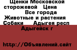 Щенки Московской сторожевой › Цена ­ 35 000 - Все города Животные и растения » Собаки   . Адыгея респ.,Адыгейск г.